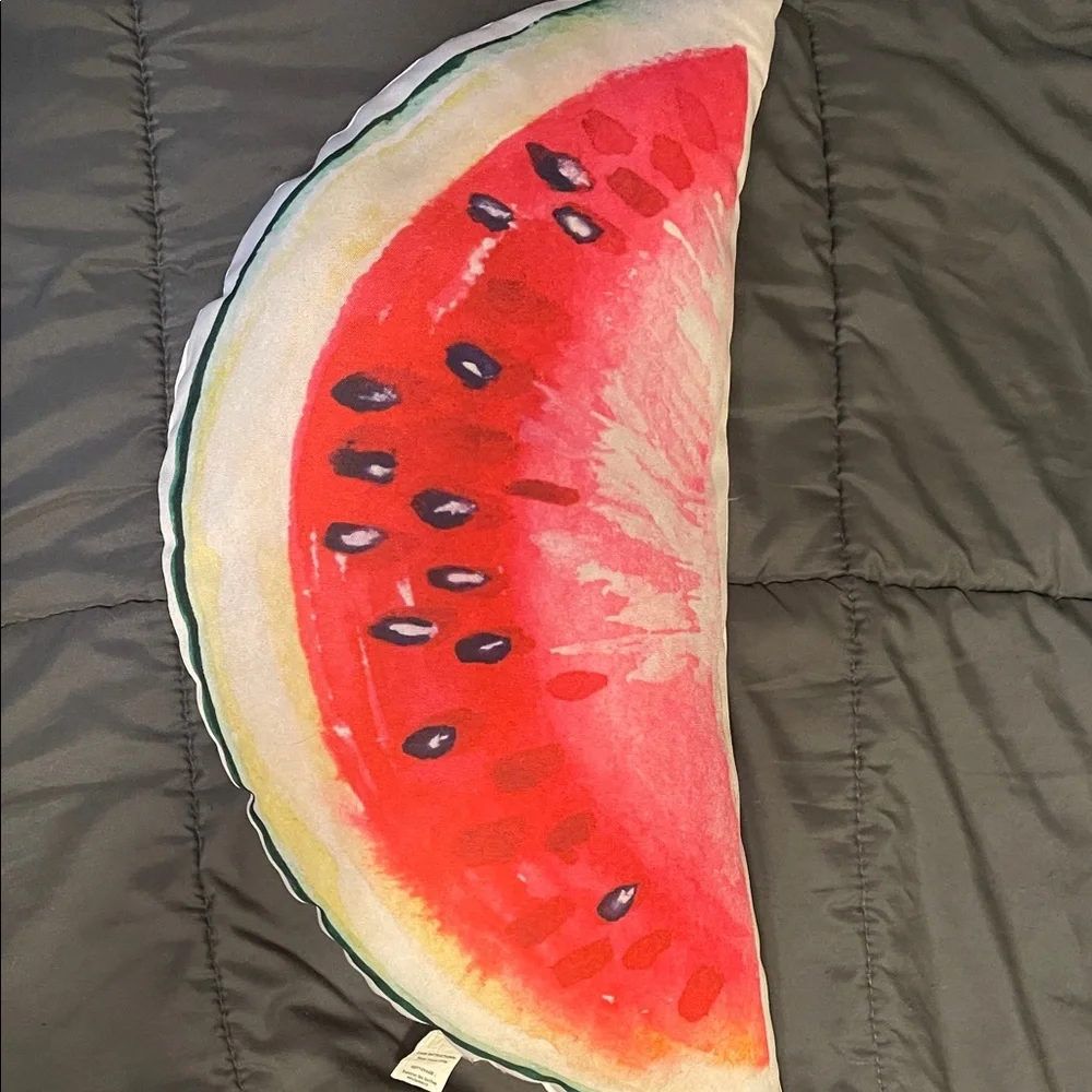 Watermelon Slice Pillow